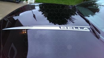 2010 to 2013 Chevy Camaro Hood Cowl Spears