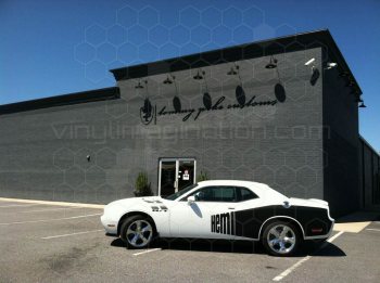 2008 Dodge Challenger Rear Billboard Side Stripes
