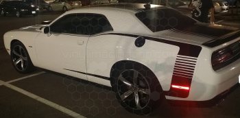 2008 Dodge Challenger Reverse C Side Pinstripes