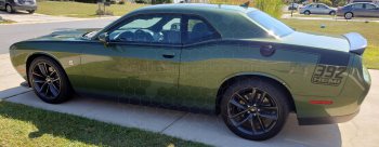 2015 to 2023 Dodge Challenger Full Length Hockey Pinstripes