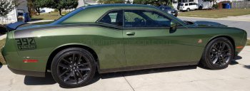 2015 to 2023 Dodge Challenger Full Length Hockey Pinstripes