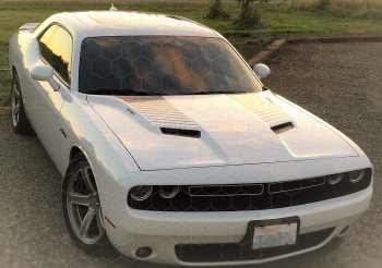 2015 to 2023 Dodge Challenger Hood Intake Power Bulge Stripes