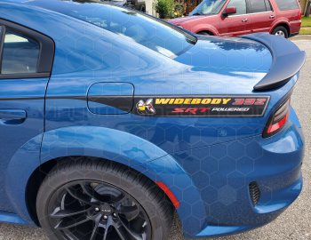 2015 to 2023 Dodge Charger Outer Scallop Swoosh with Tail