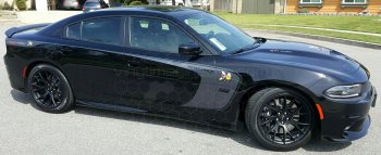 2015 to 2023 Dodge Charger Outer Scallop Swoosh with Tail