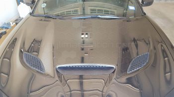 2015 to 2023 Dodge Charger Daytona / Daytona 392 Power Bulge Hood Decal