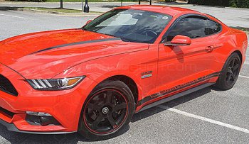 2015 to Present Ford Mustang Rocker Panel Stripes
