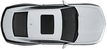 Image of Rear Fender & Trunk Top Accent Stripes on the 2010 Chevy Camaro