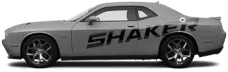Image of Shaker Billboard Side Stripes on the 2015 Dodge Challenger