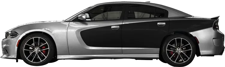 Dodge Charger 2015 to 2023 Scallop Billboard Decals Dodge Charger 2015 to 2023 Scallop Billboard Decals