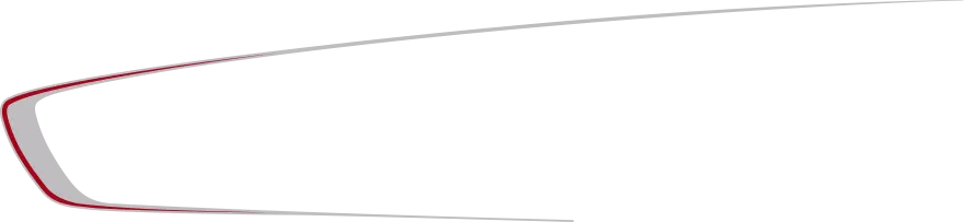 2015-2023 Charger Side Inner Scallop Accent Stripes graphic design style 02 image.