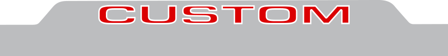 2015-2020 F-150 Tailgate Lower Blackout graphic design style 02 image.